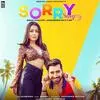  Sorry Song - Neha Kakkar Poster