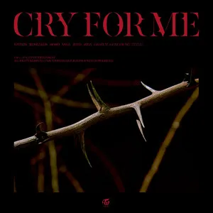  CRY FOR ME Song Poster